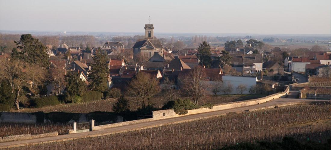 Domaine Violot-Guillemard Pommard Exterior foto